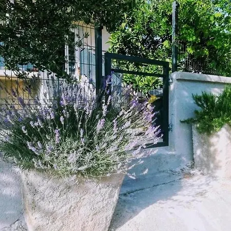 Apartman With Parking Space Pakostane, Biograd - 18979 Pakostane